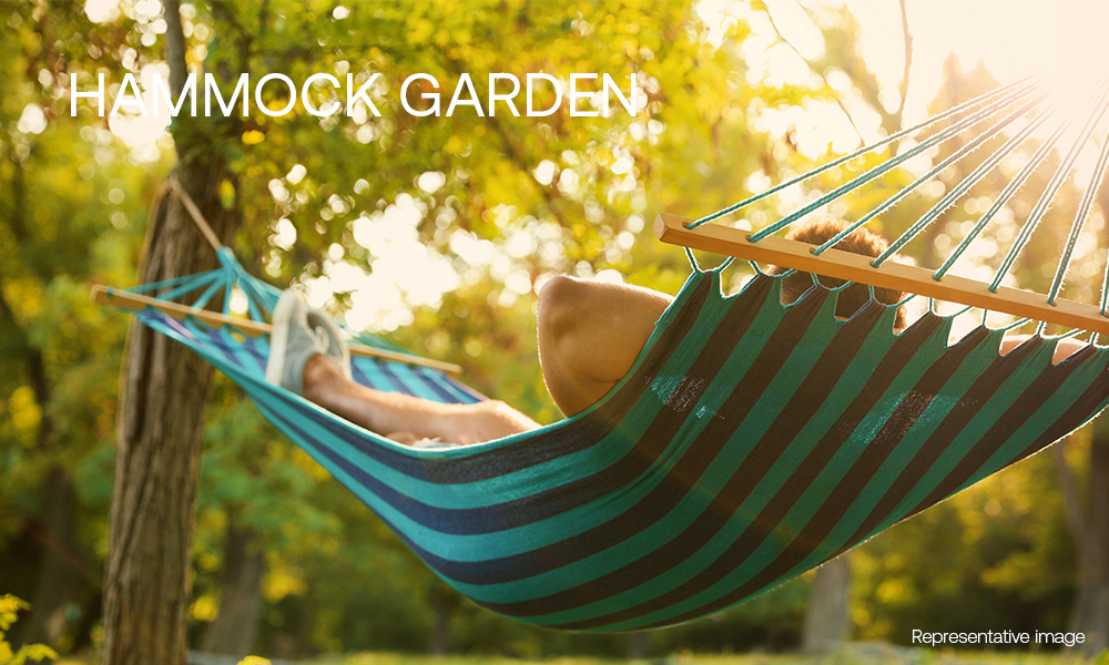 Hammock garden